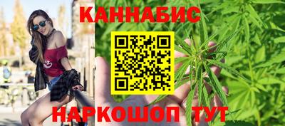 крисы Краснодар