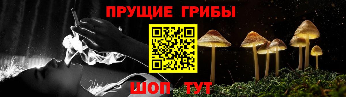 Псилоцибиновые грибы ЛСД Жуковский