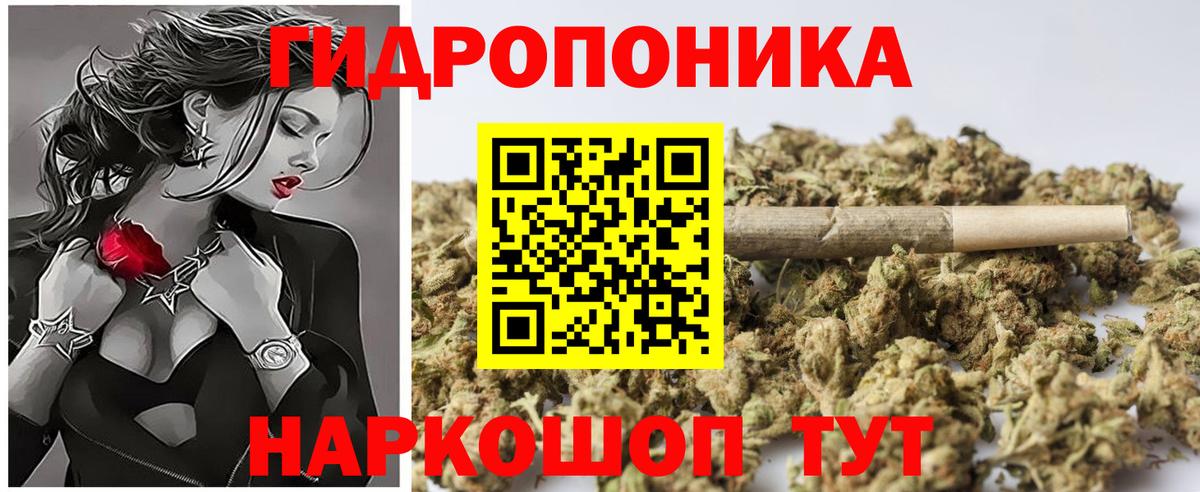Бошки марихуана планчик Жуковский